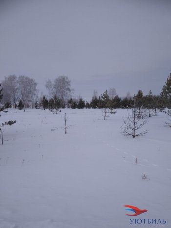 Земельный участок поселок Баженово в Старом Крыму - staryj-krym.yutvil.ru - фото 2