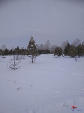 Баженово ул Южная д 7 в Старом Крыму - staryj-krym.yutvil.ru - фото 5