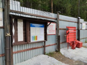 г.Верхняя Пышма СНТ №5 Березки в кв. 22 Среднеуральского Уралмашевского лесхоза в Старом Крыму - staryj-krym.yutvil.ru - фото 18