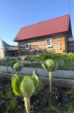 СНТ Дорожник, 97 в Старом Крыму - staryj-krym.yutvil.ru - фото 19