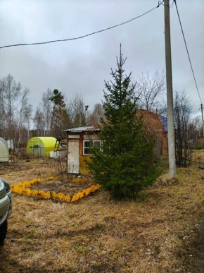СНТ Родники в Старом Крыму - staryj-krym.yutvil.ru - фото 5