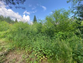 СПК Юбилейный, уч. 9 в Старом Крыму - staryj-krym.yutvil.ru - фото 13