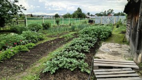 ул. 8-е Марта,46 в Старом Крыму - staryj-krym.yutvil.ru - фото 8 ул. 8-е Марта,46 в Старом Крыму - staryj-krym.yutvil.ru - фото 8