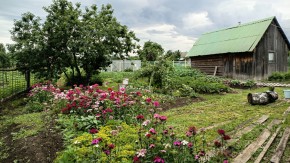 ул. 8-е Марта,46 в Старом Крыму - staryj-krym.yutvil.ru - фото 10 ул. 8-е Марта,46 в Старом Крыму - staryj-krym.yutvil.ru - фото 10