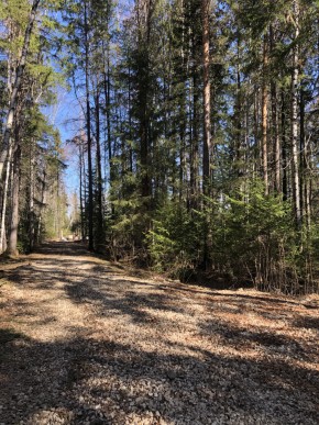 ул. Калиновая,9 в Старом Крыму - staryj-krym.yutvil.ru - фото 1