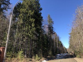 ул. Калиновая,9 в Старом Крыму - staryj-krym.yutvil.ru - фото 3