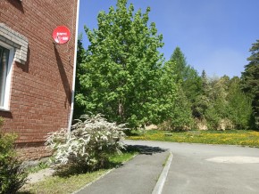 ул. Сосновая, 8 в Старом Крыму - staryj-krym.yutvil.ru - фото 25 ул. Сосновая, 8 в Старом Крыму - staryj-krym.yutvil.ru - фото 25