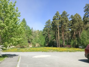 ул. Сосновая, 8 в Старом Крыму - staryj-krym.yutvil.ru - фото 26 ул. Сосновая, 8 в Старом Крыму - staryj-krym.yutvil.ru - фото 26