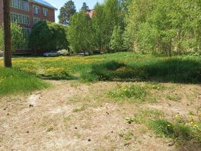 ул. Сосновая, 8 в Старом Крыму - staryj-krym.yutvil.ru - фото 33 ул. Сосновая, 8 в Старом Крыму - staryj-krym.yutvil.ru - фото 33